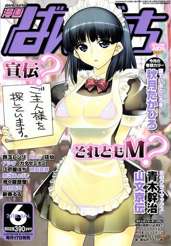 manga bangaichi 2010 06 cover