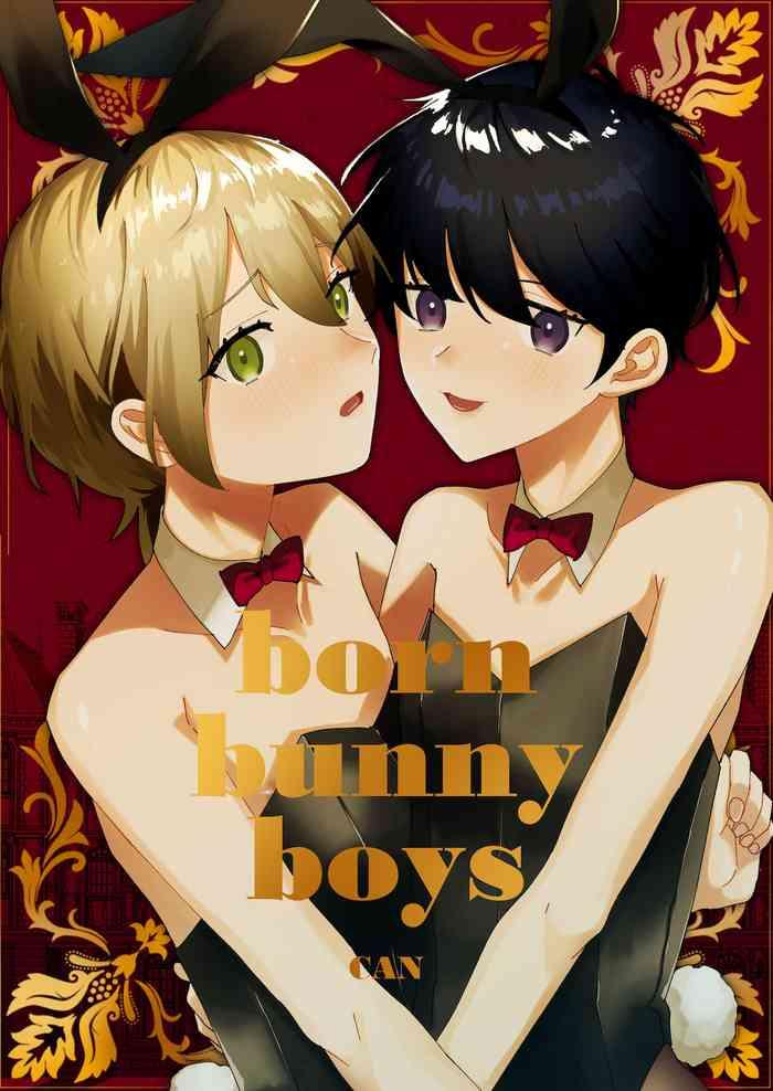 born bunny boys cover